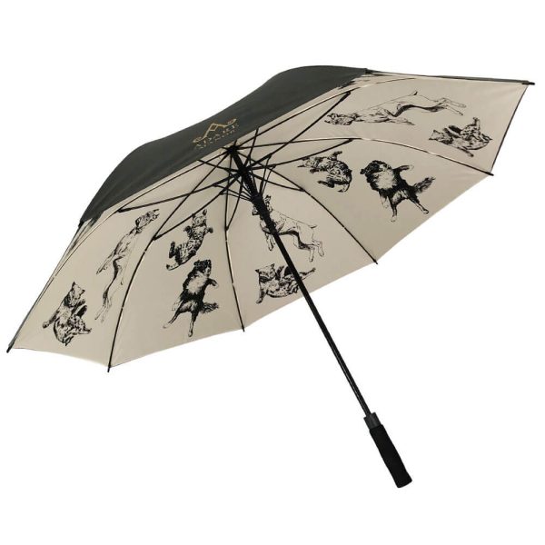 non-standard umbrella