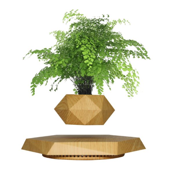 Magnetic Levitating Bonsai Wooden Floating Plant Pots Glazed Magnetic Levitation Flower Pot for Plants