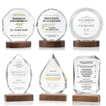 Clear crystal award designs with solid wood bases