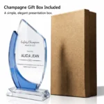 Custom crystal trophy with presentation gift box