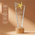 Starward Ambition crystal award with gold star and wood base 8 × 28.5 cm